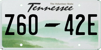 TN license plate Z6042E