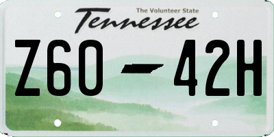 TN license plate Z6042H