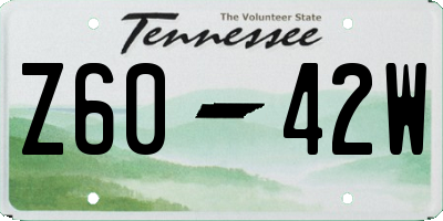 TN license plate Z6042W