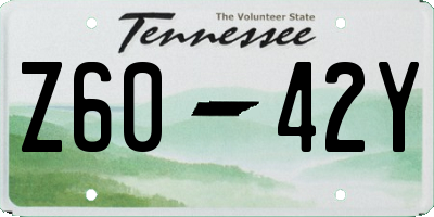 TN license plate Z6042Y