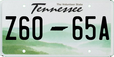 TN license plate Z6065A