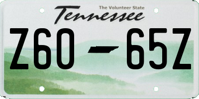 TN license plate Z6065Z