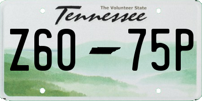 TN license plate Z6075P