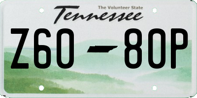 TN license plate Z6080P
