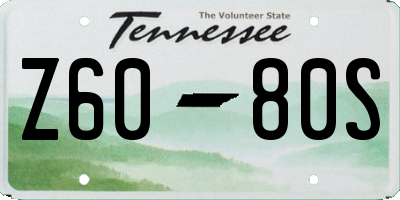 TN license plate Z6080S