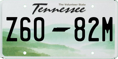 TN license plate Z6082M