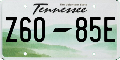 TN license plate Z6085E
