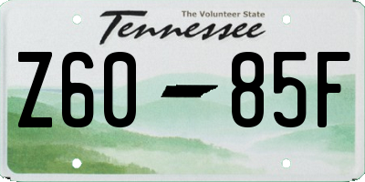 TN license plate Z6085F