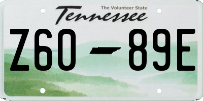 TN license plate Z6089E
