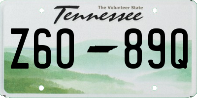 TN license plate Z6089Q
