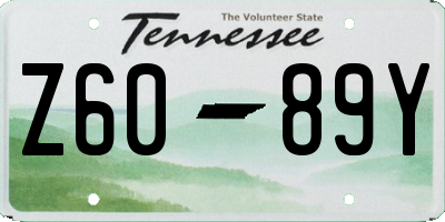 TN license plate Z6089Y