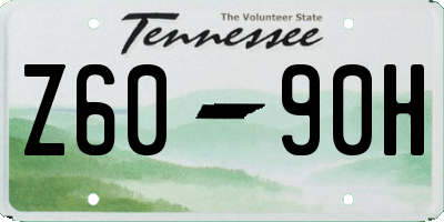 TN license plate Z6090H