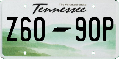TN license plate Z6090P