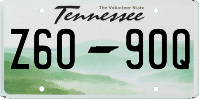 TN license plate Z6090Q