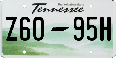 TN license plate Z6095H