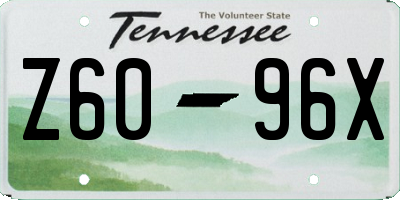 TN license plate Z6096X