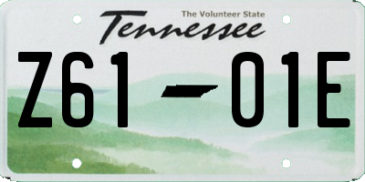 TN license plate Z6101E