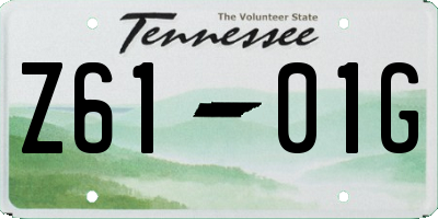 TN license plate Z6101G