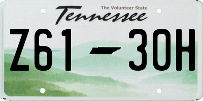 TN license plate Z6130H