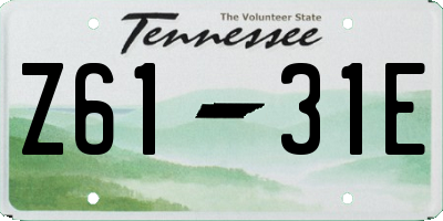 TN license plate Z6131E