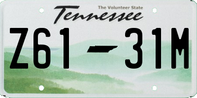TN license plate Z6131M