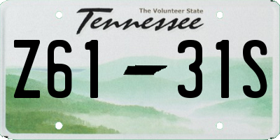 TN license plate Z6131S