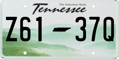TN license plate Z6137Q