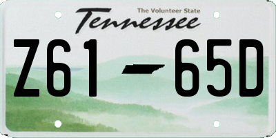 TN license plate Z6165D