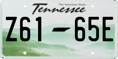 TN license plate Z6165E