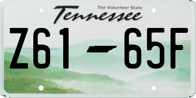 TN license plate Z6165F