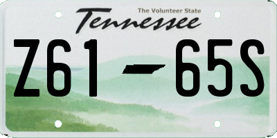 TN license plate Z6165S