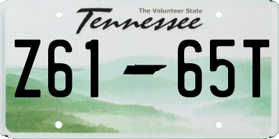 TN license plate Z6165T