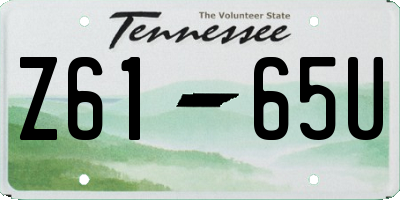 TN license plate Z6165U