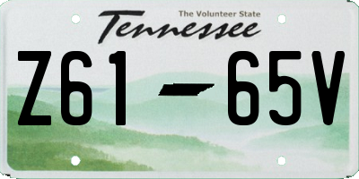 TN license plate Z6165V