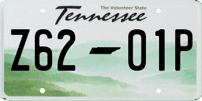 TN license plate Z6201P