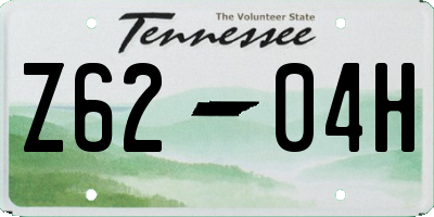 TN license plate Z6204H
