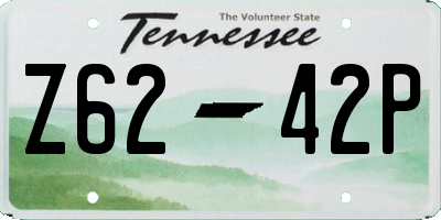 TN license plate Z6242P