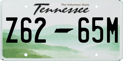 TN license plate Z6265M