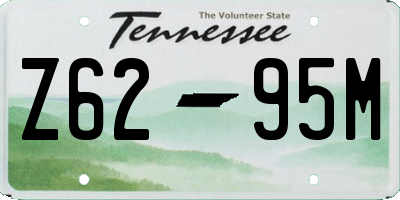 TN license plate Z6295M