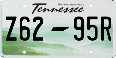 TN license plate Z6295R