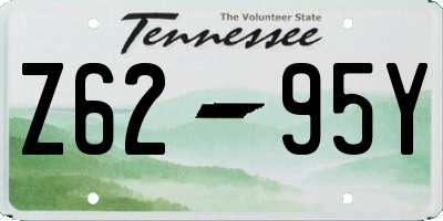TN license plate Z6295Y