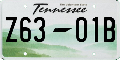 TN license plate Z6301B