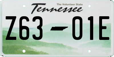 TN license plate Z6301E