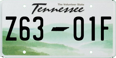 TN license plate Z6301F