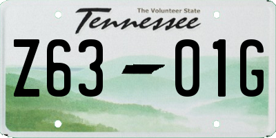 TN license plate Z6301G