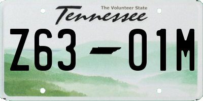 TN license plate Z6301M