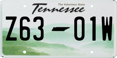 TN license plate Z6301W