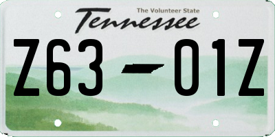 TN license plate Z6301Z