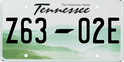 TN license plate Z6302E