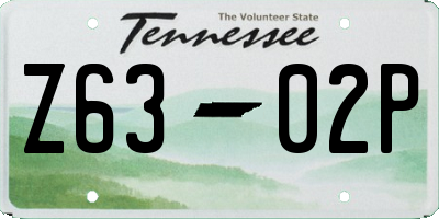 TN license plate Z6302P